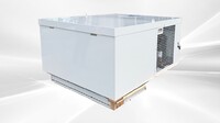 3 HP Roof mounting Mono-Block Walk In Cooler system XWZ300T