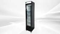 NSF Narrow Glass Door Freezer 6.5 CU.FT SD-190