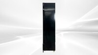 NSF Narrow Glass Door Freezer 6.5 CU.FT SD-190