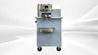 Electric Sugar Cane Juicer 750W Sugarcane Machine 110V L9