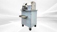 Electric Sugar Cane Juicer 750W Sugarcane Machine 110V L9