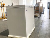 NSF -45°C 215L Seafood Ultra-low Horizontal Freezer DW-45W215