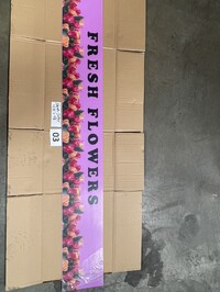 [Parts] Flower Preservation Display FLOWERS69R Light box panel