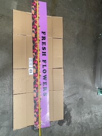 [Parts] Flower Preservation Display FLOWERS69R Light box panel