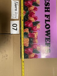 [Parts] FLOWERS430 Flower Preservation Display Light box panel