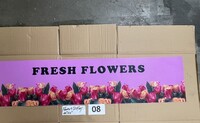 [Parts] FLOWERS1000 Flower Preservation Display Light box pane