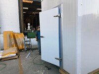 Walk In Freezer 0.8*1.8 Frame Door for PA4 With Heating Doo2R