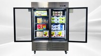 NSF 2Glass Door Stainless Steel Commercial Freezer CD-56FG-2