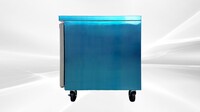 NSF Undercounter Refrigerator 30 ins EUC30R