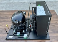 0.5HP Condensing Unit U-EHX2155U