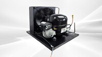 0.5HP Condensing Unit U-EHX2155U
