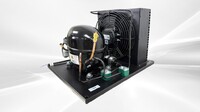 0.5HP Condensing Unit U-EHX2155U