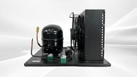 0.5HP Condensing Unit U-EHX2155U