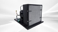 0.5HP Condensing Unit U-EHX2155U