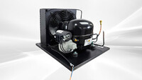 0.5HP Condensing Unit U-EHX2155U
