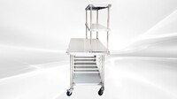 48 inches Prepare The Workbench Stainless Steel Table SSPW48