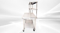 60 inches Prepare Workbench Stainless Steel Table SSPW60