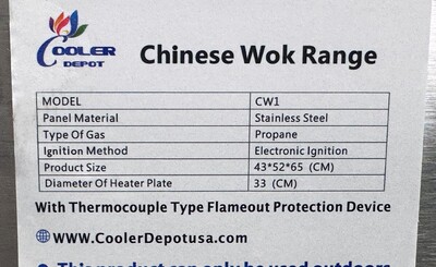 16 Tips Commercial Chinese Wok Ranges CW23