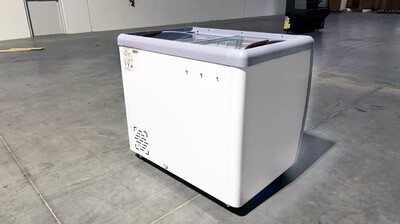 NSF 40 ins Ice Cream Glass Freezer Dipping Cabinet RI-260DC