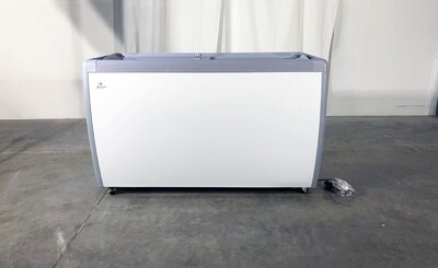 NSF 60 ins Ice Cream Glass Freezer Dipping Cabinet RI-460DC