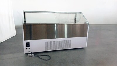 NSF Gelato Dipping Cabinet 88 Inches 24 pan DW-24