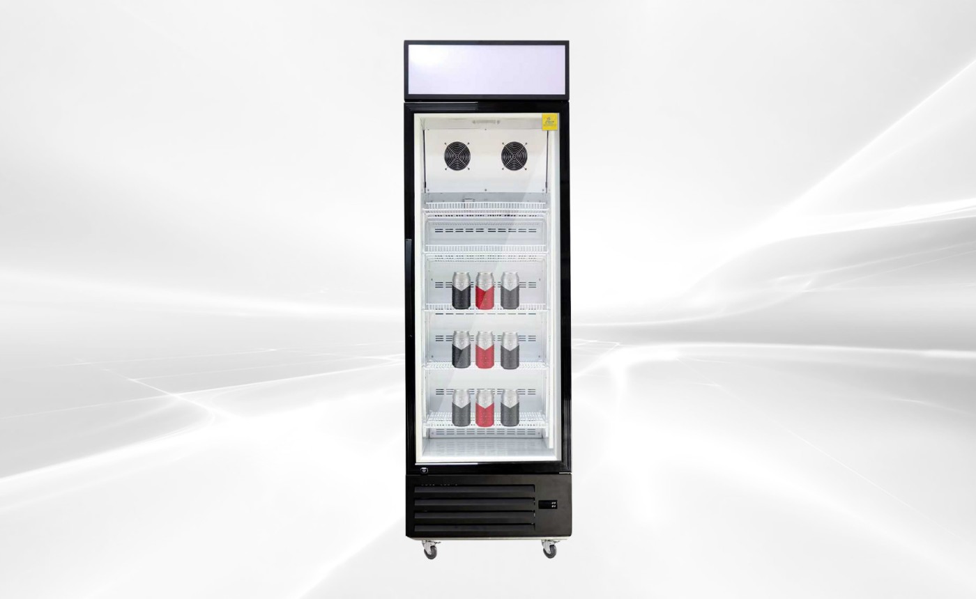 NSF One glass door freezer Display  Merchandiser SD-425
