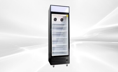 NSF One glass door freezer Display  Merchandiser SD-425