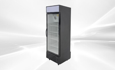 NSF One glass door freezer Display  Merchandiser SD-425