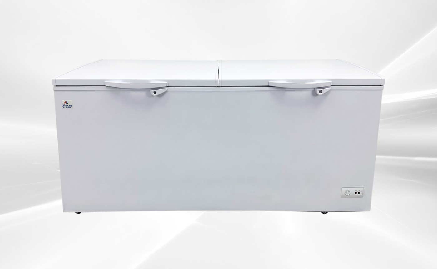 NSF 76 inches Horizontal Double Doors Freezer XF-650