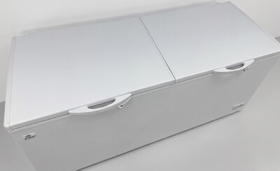 NSF 76 inches Horizontal Double Doors Freezer XF-650