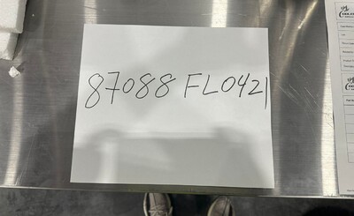 Clearance NSF 7 L Commercial Electric Water Boiler 87088F0421