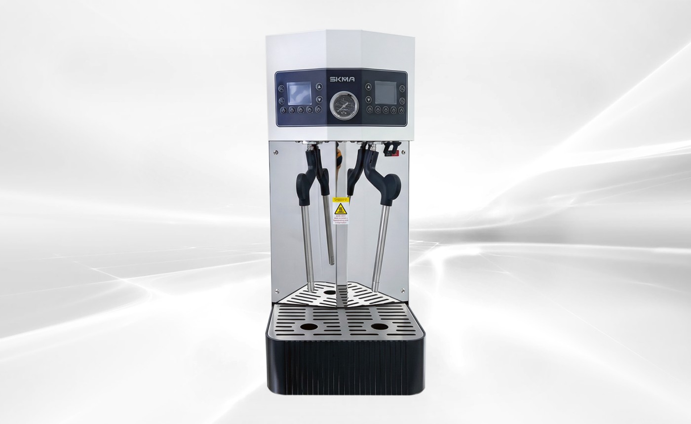ETL Double Head Foaming Steamer Z2-10L