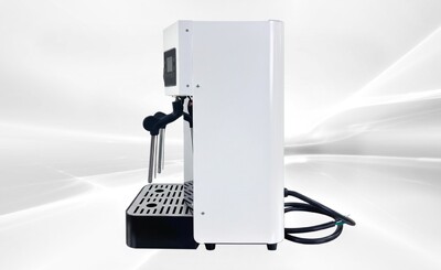 ETL Double Head Foaming Steamer Z2-10L