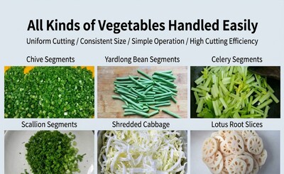 Commercial Multi-functional Vegetable Cutter 110V CK-20