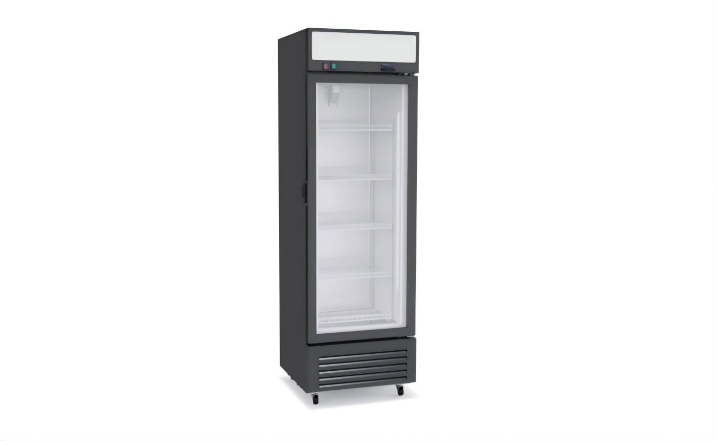 NSF 329L One glass door freezer Merchandiser Display LSD-329WE