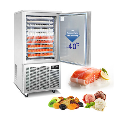 NSF Blast Chiller Shock Freezer 10Pan